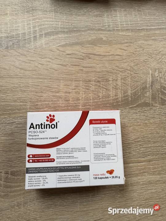 Antinol 120 kapsułek w opakowaniu Akcesoria dla zwierząt Warszawa