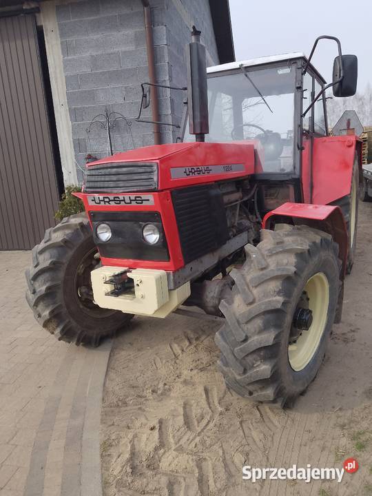 Sprzedam ursusa 1224 żółw zając sprawny wielkopolskie Szczytniki