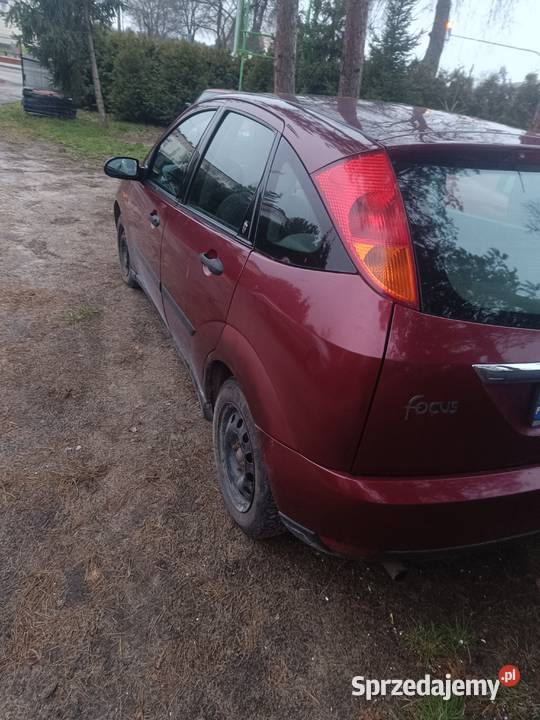 Ford focus Bykowszczyzna