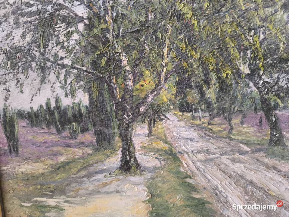 Piękny obraz olejny płótno sygnowany Rudi Łódź sprzedam