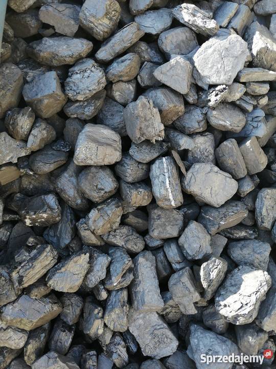 Węgiel Kamienny Orzech