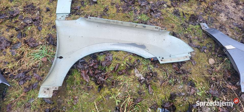 Błotnik Lewy Prawy Opel Vectra C Przed FL Różne Żabno