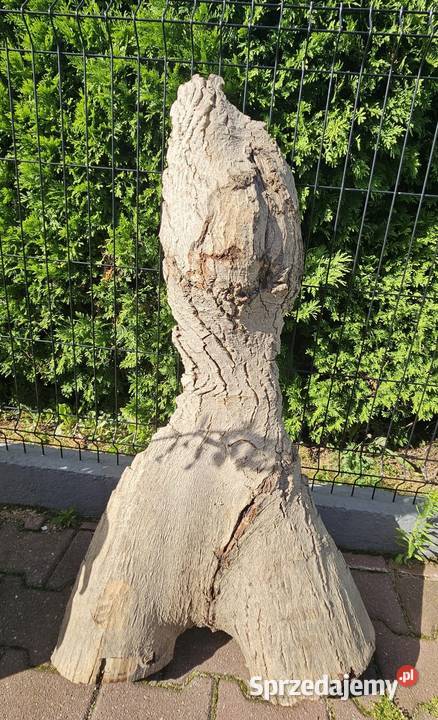 Foszty orzech włoski sezonowane 13 lat śląskie Bielsko-Biała