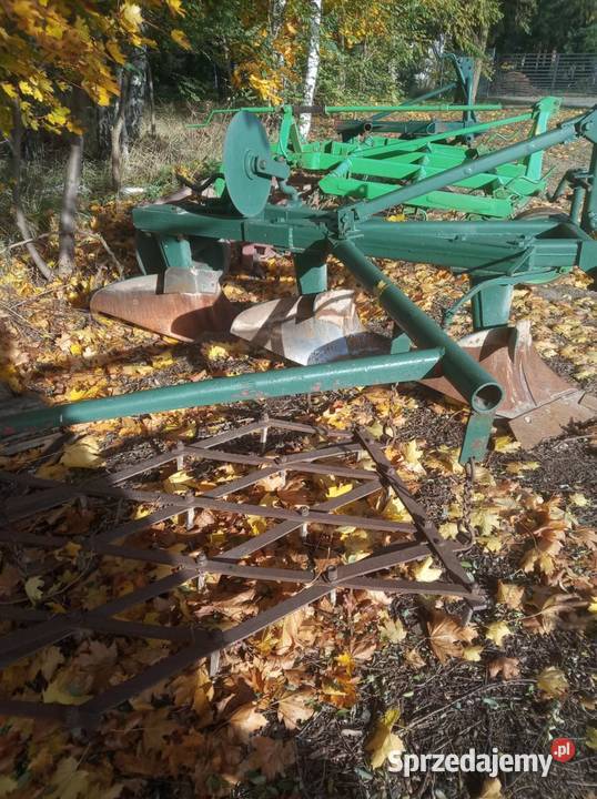 Pług Grudziądz Bełchatów