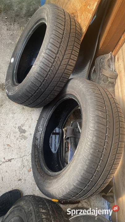 2 letnie opony wielkopolskie Skórzewo
