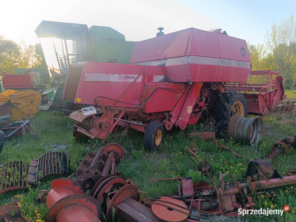 Sieczkarnia Ferguson 186206240187 pochodne lubelskie