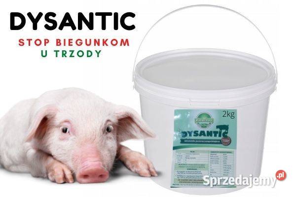 Dysantic 25pomoc w zwalczaniu BIEGUNEKDYZENTERII wielkopolskie sprzedam