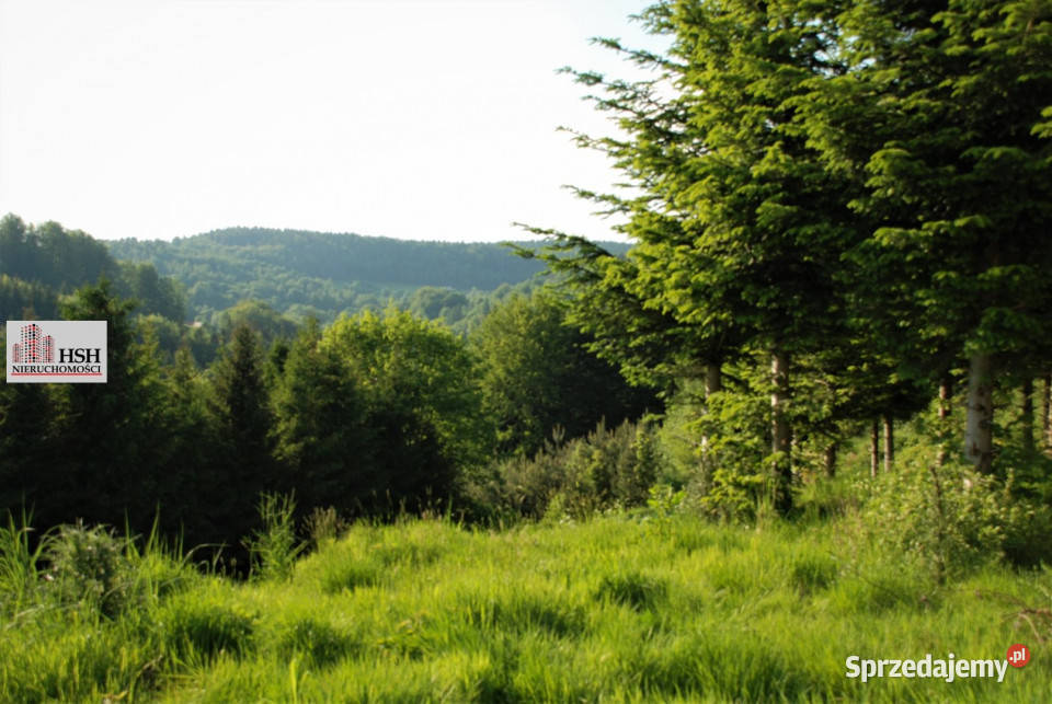 Działka do sprzedania Maków Podhalański 14000m2