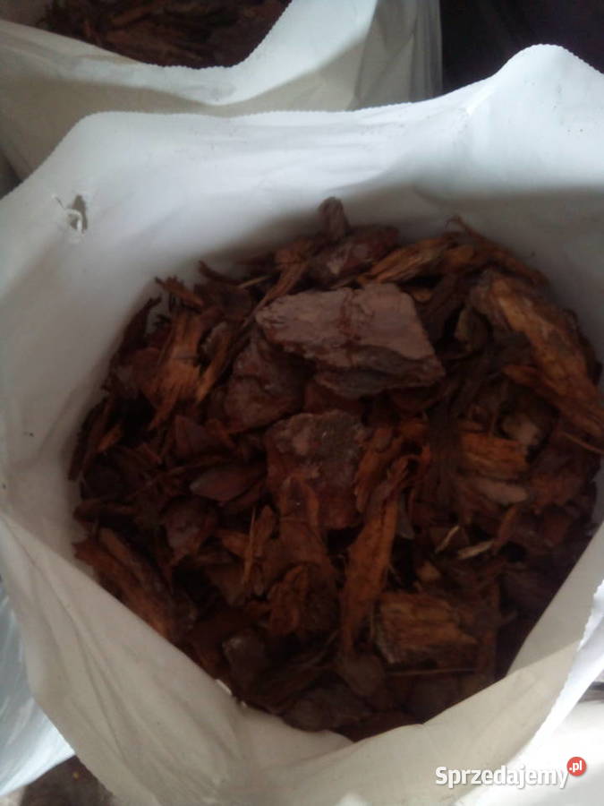 Kora sosnowa gruba 80 litrów Lututów