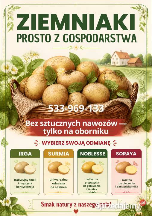 Ziemniaki bez sztucznych nawozow