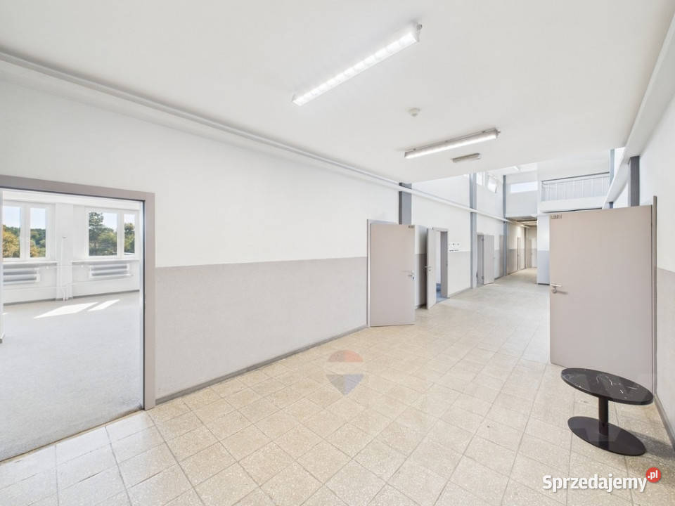 Biuro 416 m z windą i parkingiem Rybnik