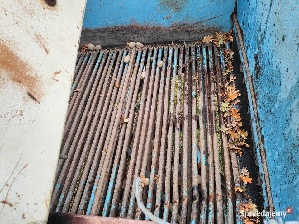 Kombajn ziemniaczany Anna Z644 nieuszkodzony Do ziemniaków i warzyw wielkopolskie Opatówek