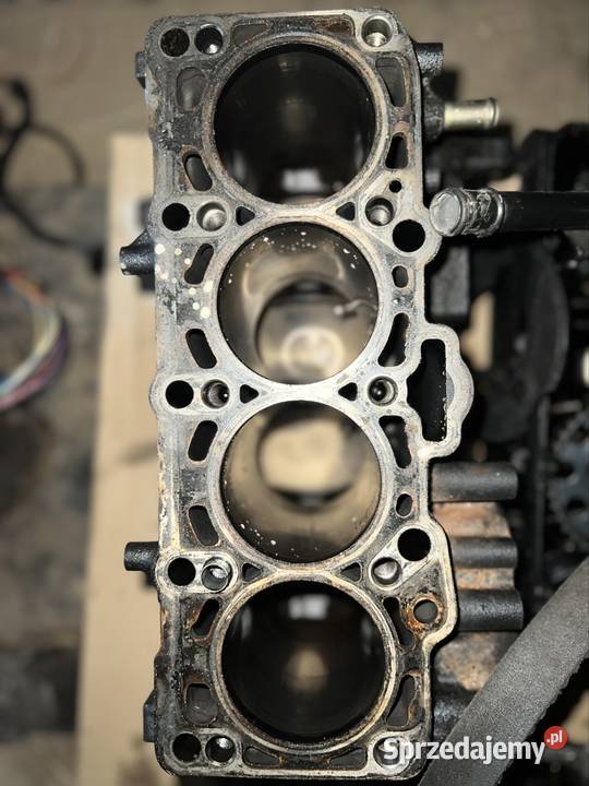 Silnik 19 bls Samochody osobowe Półwieś