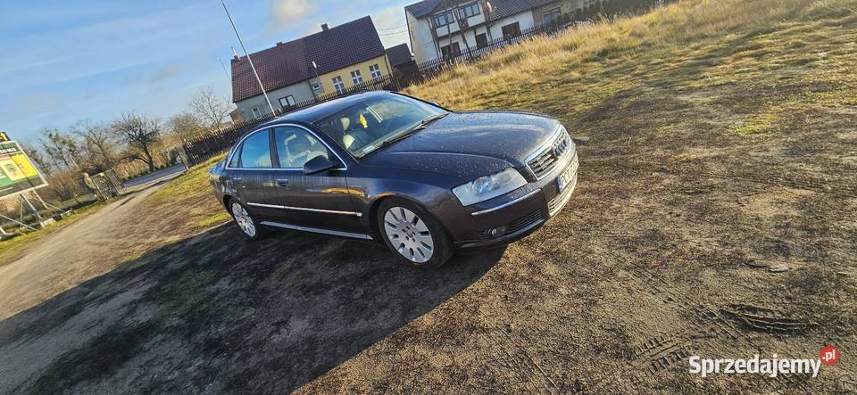 Audi A8 D3 42 Bfm Lpg Quattro światła przeciwmgielne Wieleń