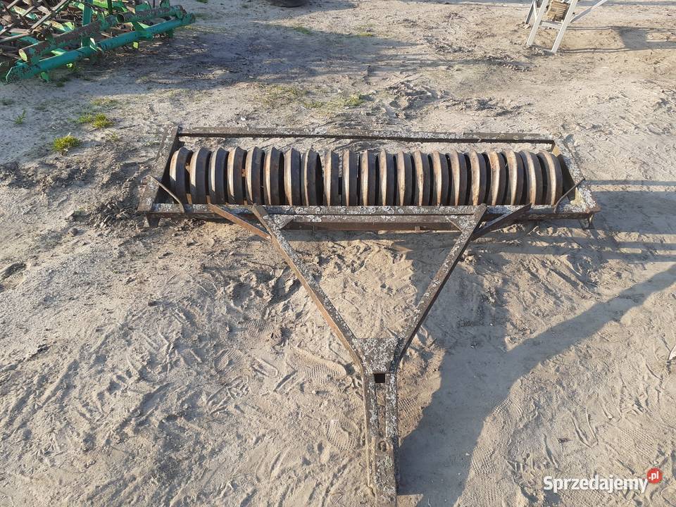 Kopaczka do ziemniaków elewatorowa cebul waly wielkopolskie Konin