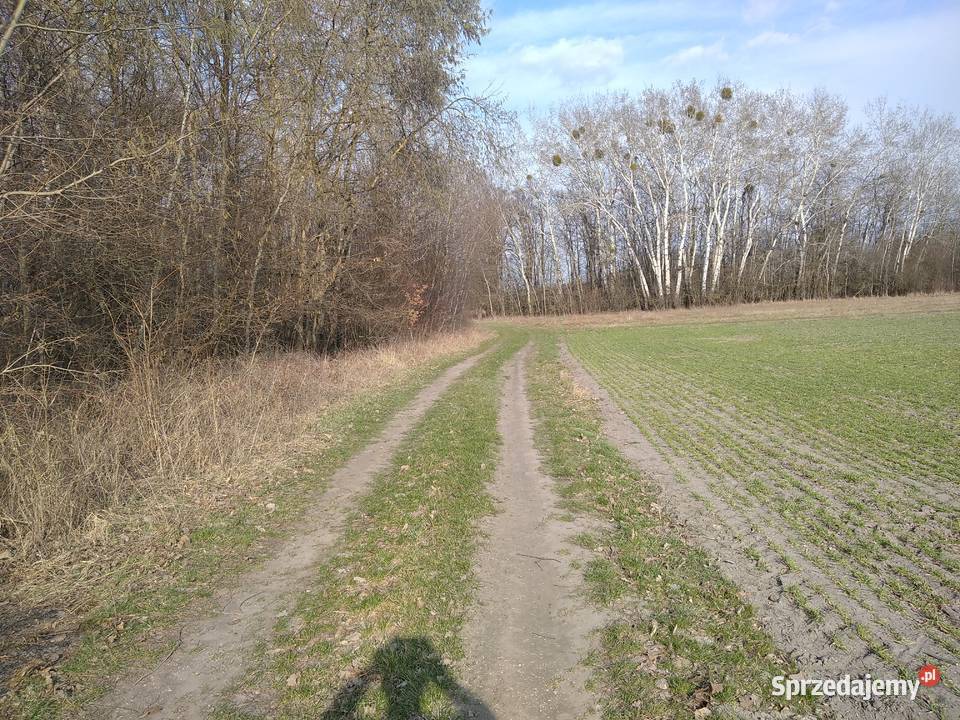 Działka jeziorem Uściwierz