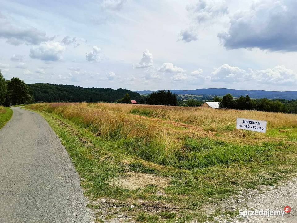 Działka budowlano inwestycyjna w Ryglicach małopolskie Ryglice