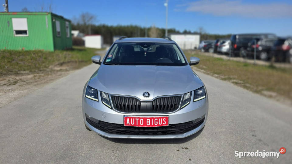 koda Octavia Dsg Duża Navi Bixenon III 2013 Lębork
