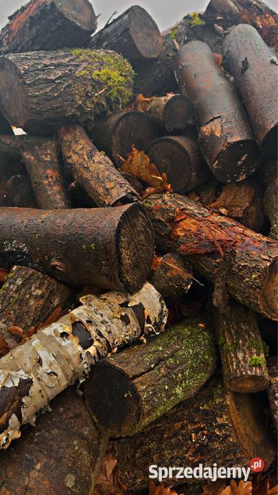 Gałeziówka Chociwel