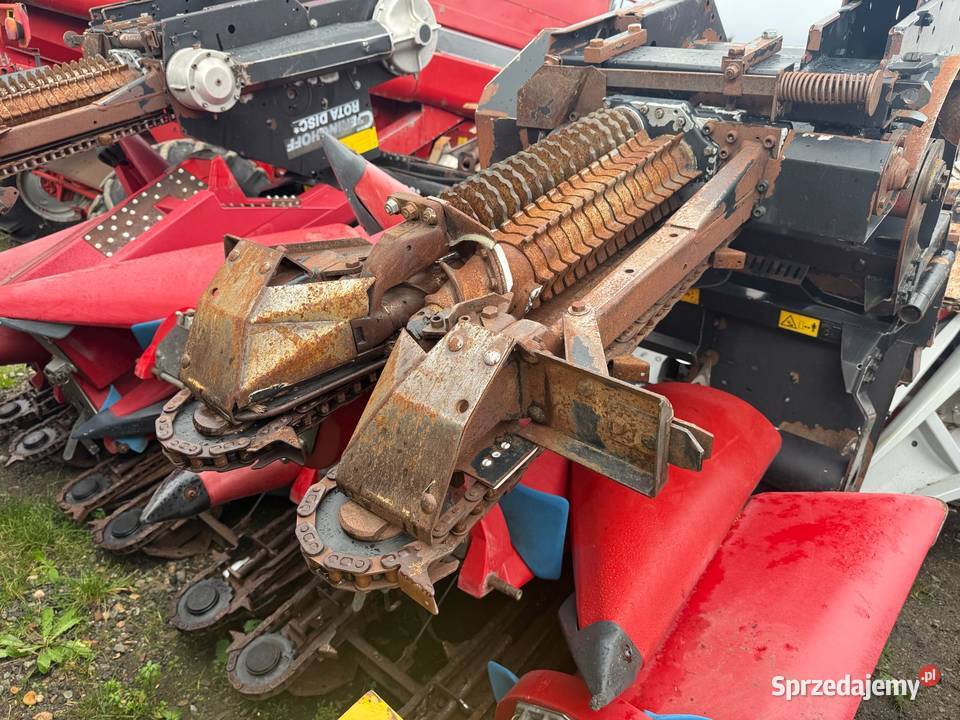 Przystawka do kukurydzy Gringhoff 6 rzędowa nieuszkodzony Nowa Ruda