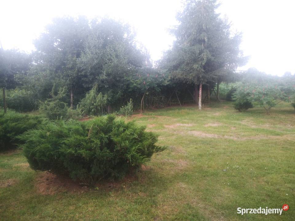 Opryski ogrodów przeciwko insektom Strzegowo
