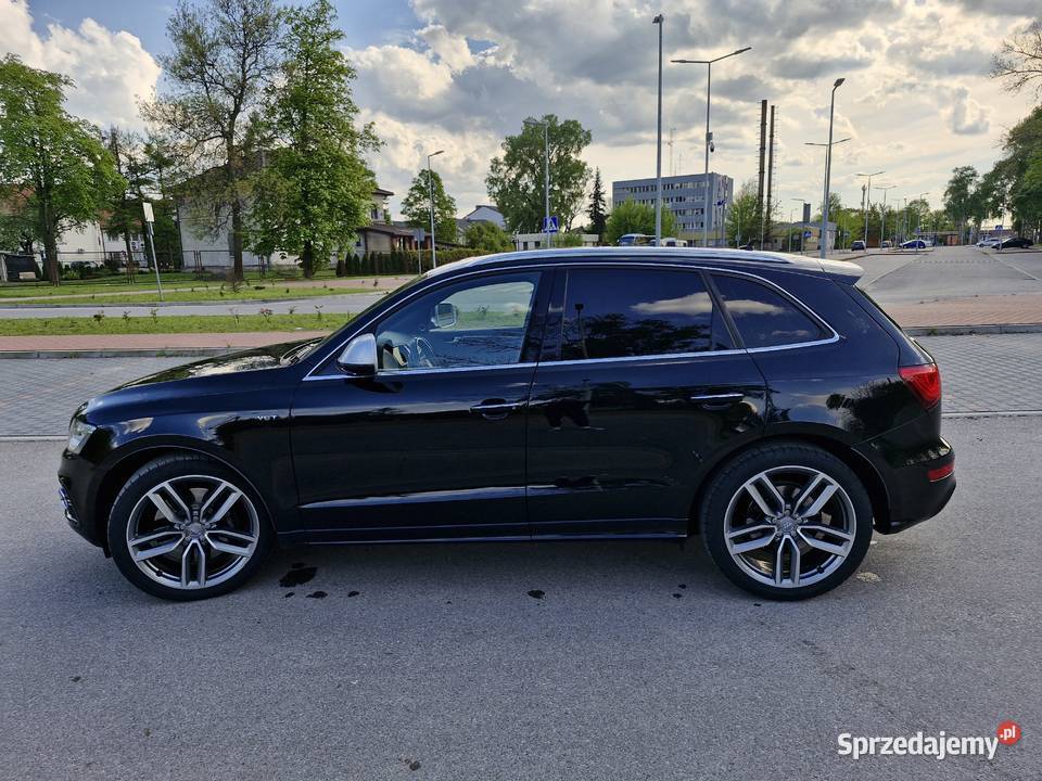 Audi SQ5 30 TDI 313 Full relingi dachowe Tłuszcz