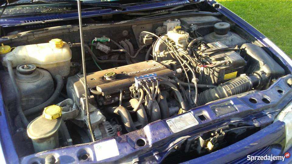 Ford fiesta mk4 gaz sekwencja stage4 Mąkowarsko