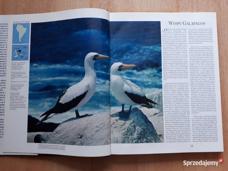 Skarby przyrody Rybnik