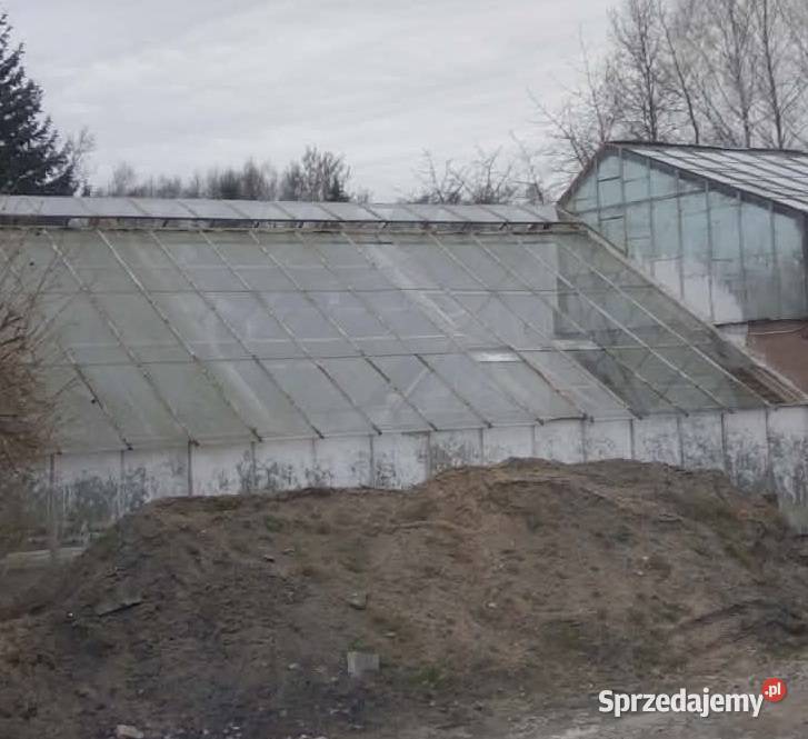 Szkło szklarniowe używane okienne szyba Pozostałe Architektura ogrodowa Łódź