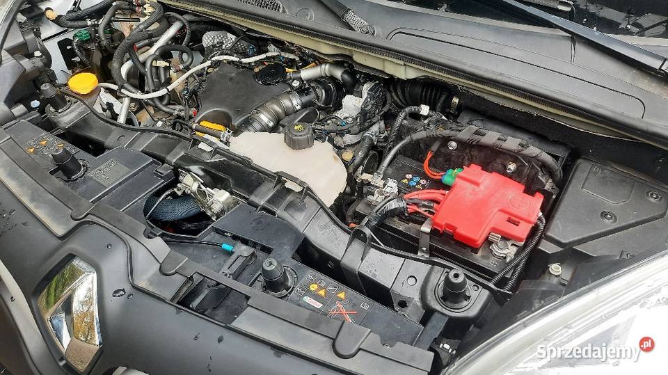 Renault Kangoo 15dCi95 30tkm Klima 5osób MAXI Jaśkowice