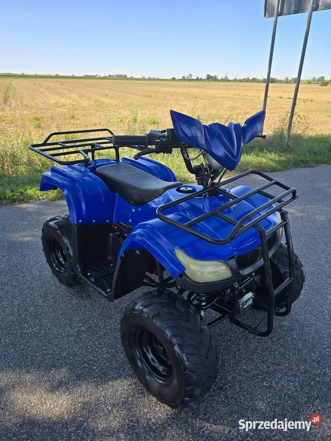 Quad Model Bmw 125cc Automat 11r Stan Motoryzacja Kruszwica