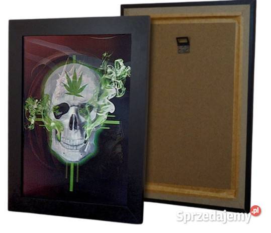 Obraz 3D Trójwymiarowy z Czachą z Ramką Plakat Ostrowy nad Okszą