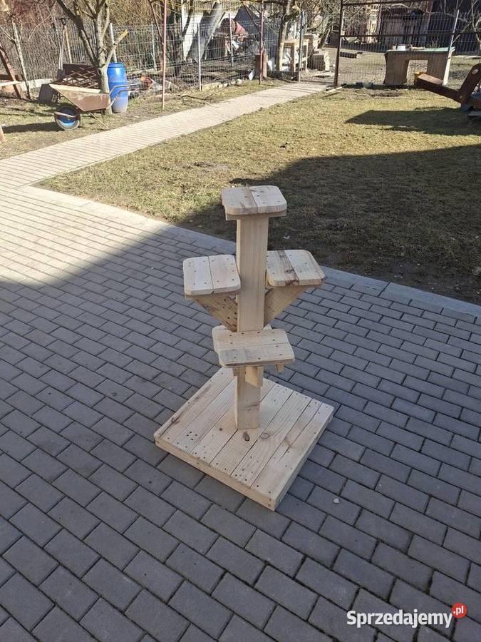 Kwietnik ogrodowy Kielce