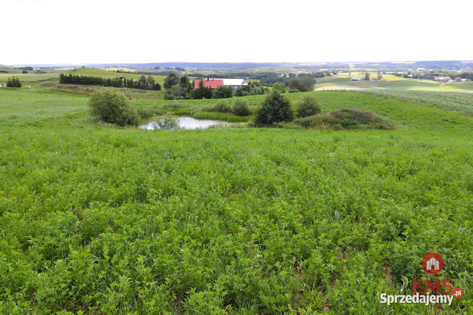 sprzedaży gruntu 4800m2 Olszanka