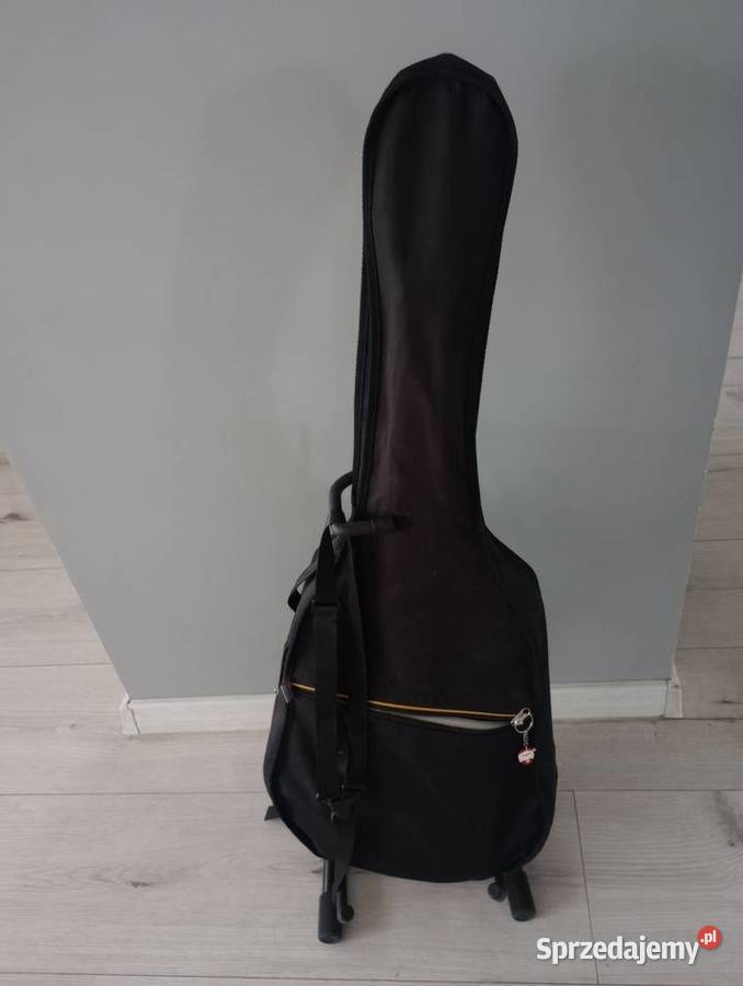 Gitara durango zestaw do nauki gry Nauka gry na instrumentach śląskie Pawłowice
