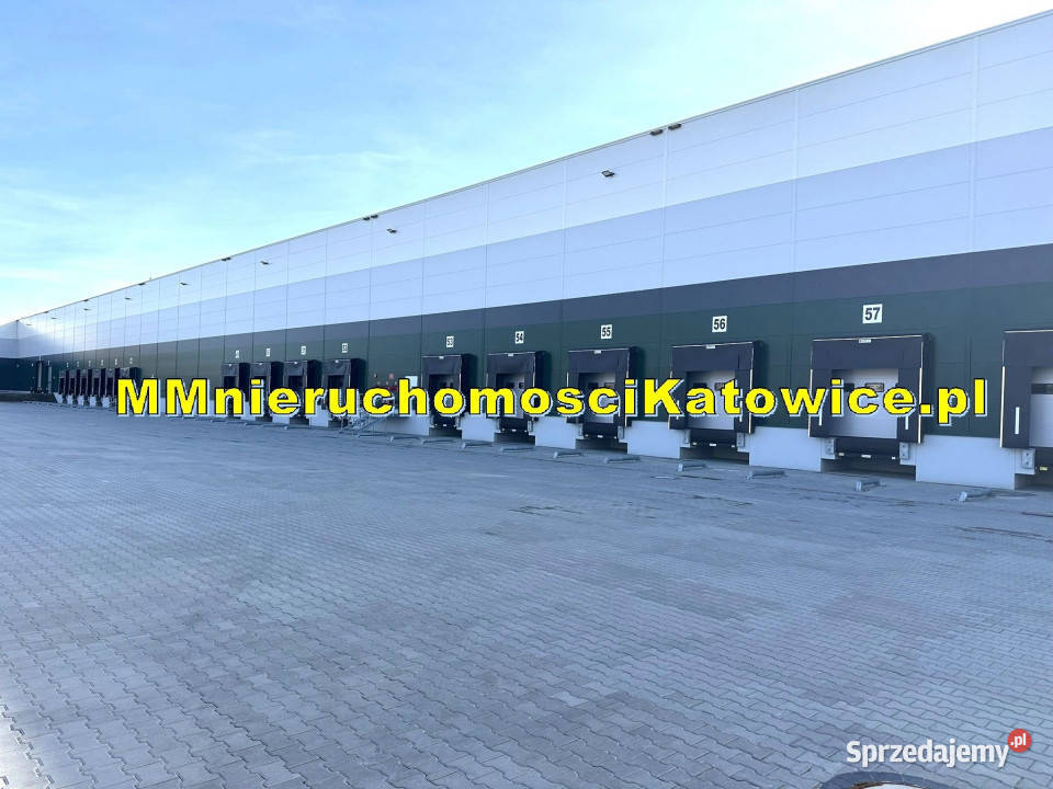 Centrum dystrybucyjne różne powierzchnie do Łyszkowice sprzedam