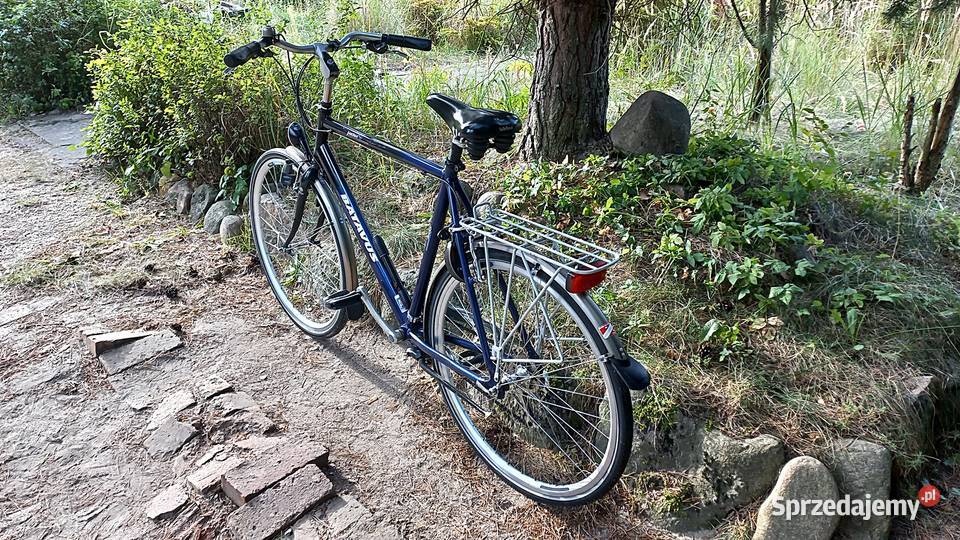 Alu Rower Miejski Męski Holender Batavus Jakima