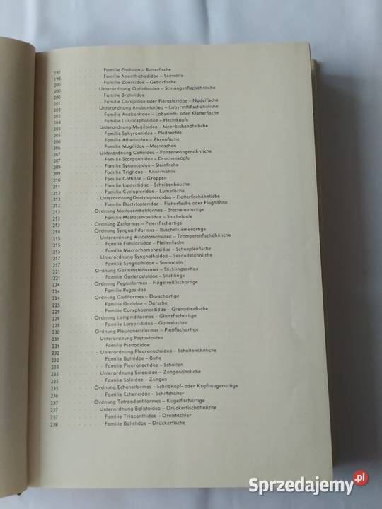 URANIA TIERREICH Fische Lurche Kriechtiere