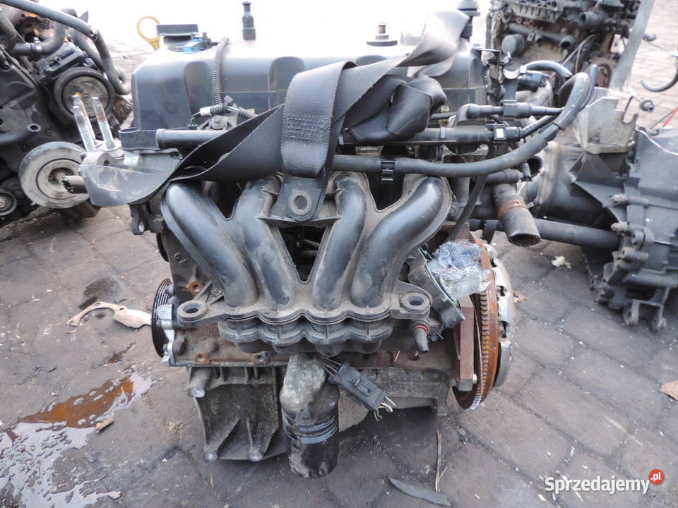 FORD FIESTA VI MK6 13 A9JA 69 SILNIK BENZYNA osobowe Nowy Sącz sprzedam