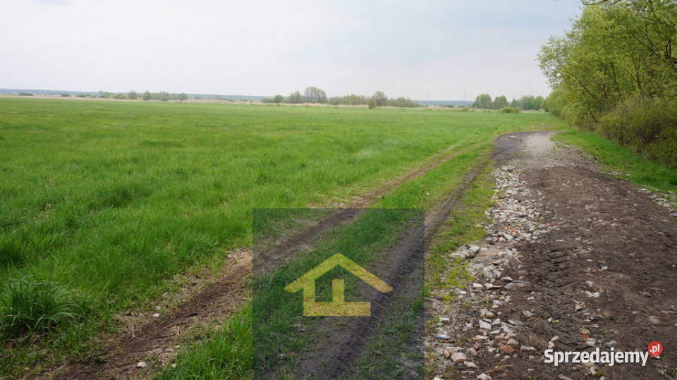 Nieruchomość w Całowaniu 0m Sprzedaż