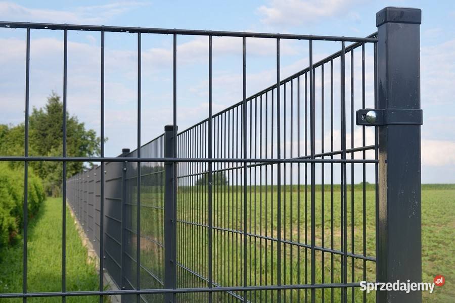 Płoty panelowe 2D Najlepsza 656 certyfikowany Produkcja Cedynia