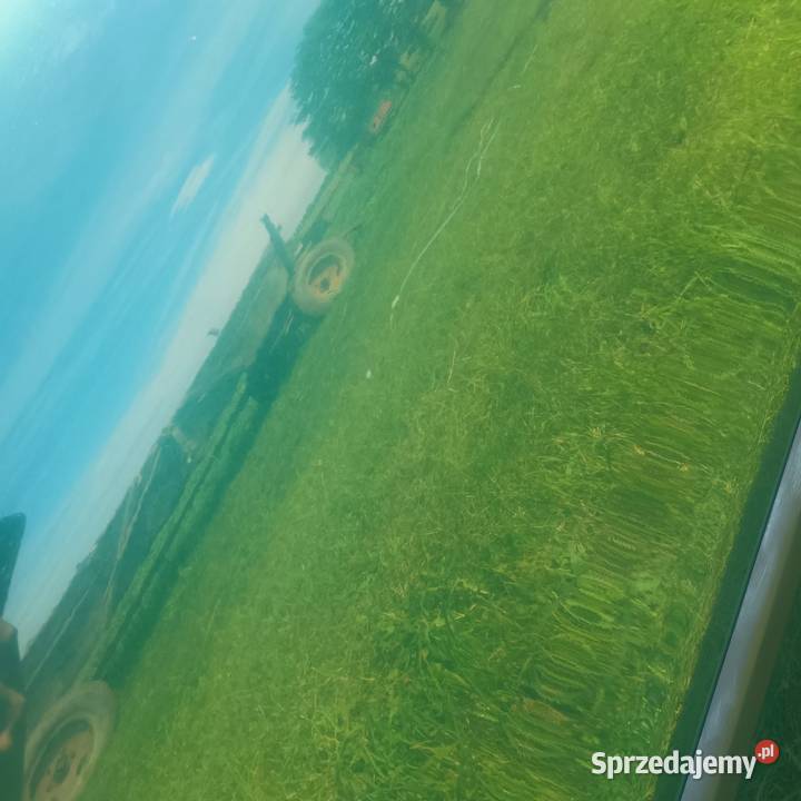 Sprzedam Leona 150KM Tarczek