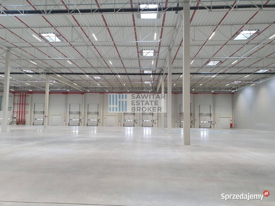 Hala klasa A3500m2200m2 biurasocjBez Prowizji Wrocław