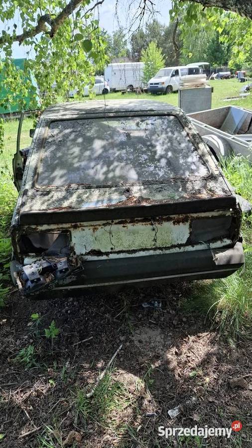 Polonez Borewicz Sadowne