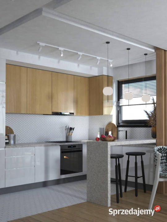 Mieszkanie 2 sypialnie i salon z wyjściem na Prochowice sprzedam