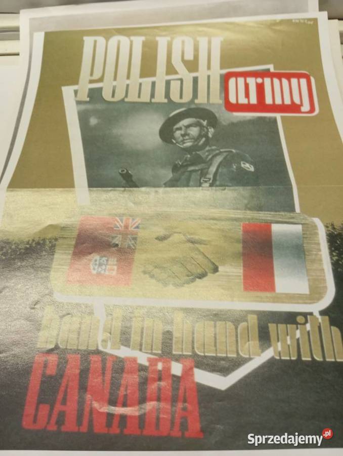 Porządki domowe plakaty Cieszyn sprzedam