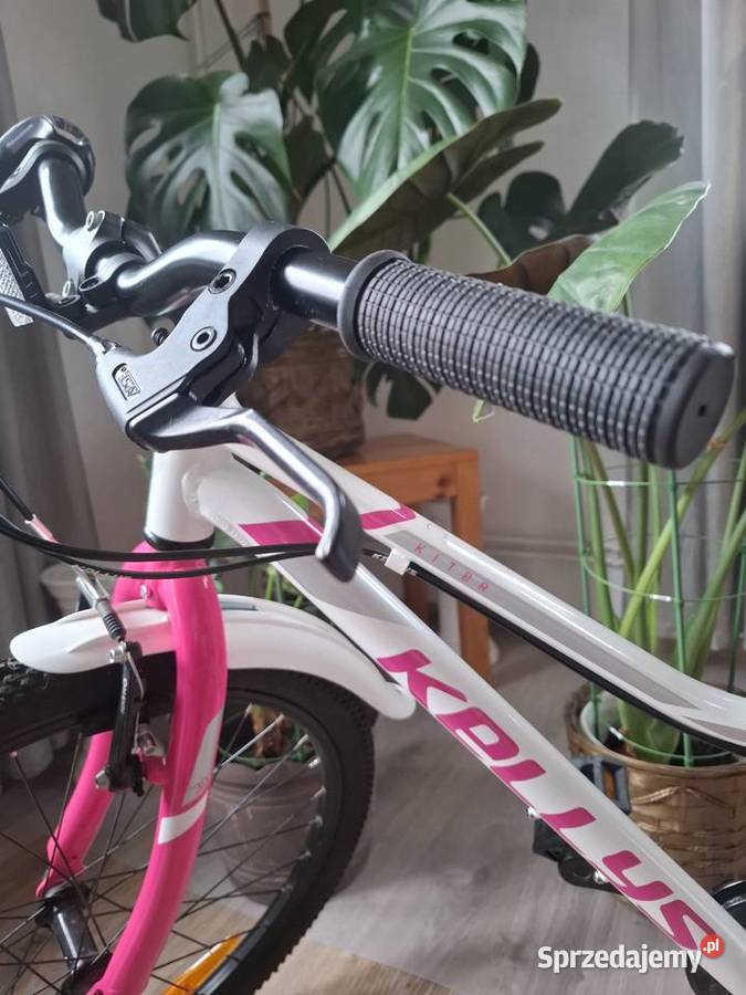 Rower Kellys 24 cale