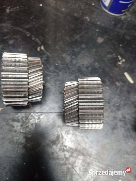 Mz trophy ts Rzeszów