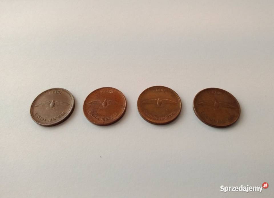 1 Cent Canada 1967r 100 Lat Kanada Gołąb Mewa Radom