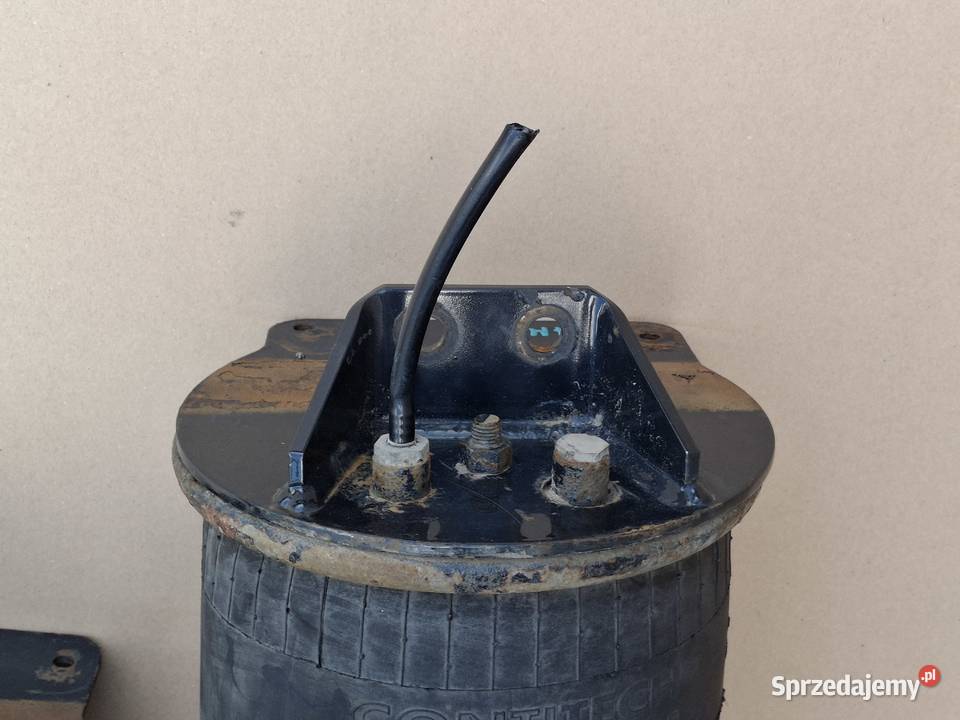 MAN TGX TGS TGA PODUSZKA MIECH ZAWIESZENIA Bieleń